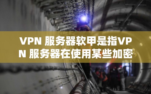 VPN 服务器软甲是指VPN 服务器在使用某些加密协议或恶意设置后，通过特定方式吸引攻击者。以下是针对这种情况的建议
