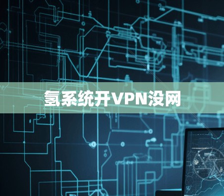 氢系统开VPN没网