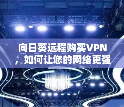 向日葵远程购买VPN，如何让您的网络更强大