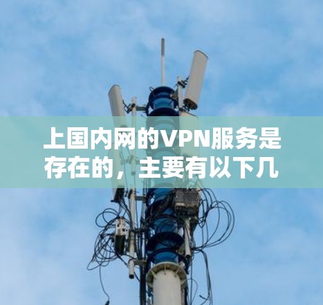 上国内网的VPN服务是存在的，主要有以下几种