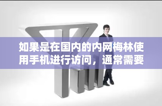 如果是在国内的内网梅林使用手机进行访问，通常需要满足以下条件