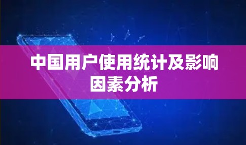 中国用户使用统计及影响因素分析