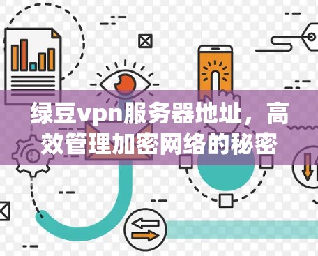 绿豆vpn服务器地址，高效管理加密网络的秘密