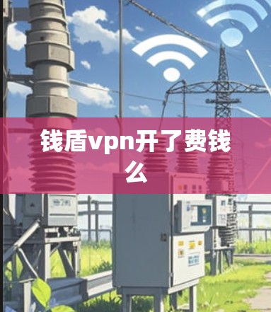 钱盾vpn开了费钱么