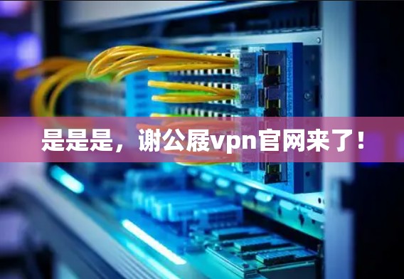 是是是，谢公屐vpn官网来了！