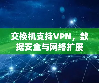 交换机支持VPN，数据安全与网络扩展的双刃剑